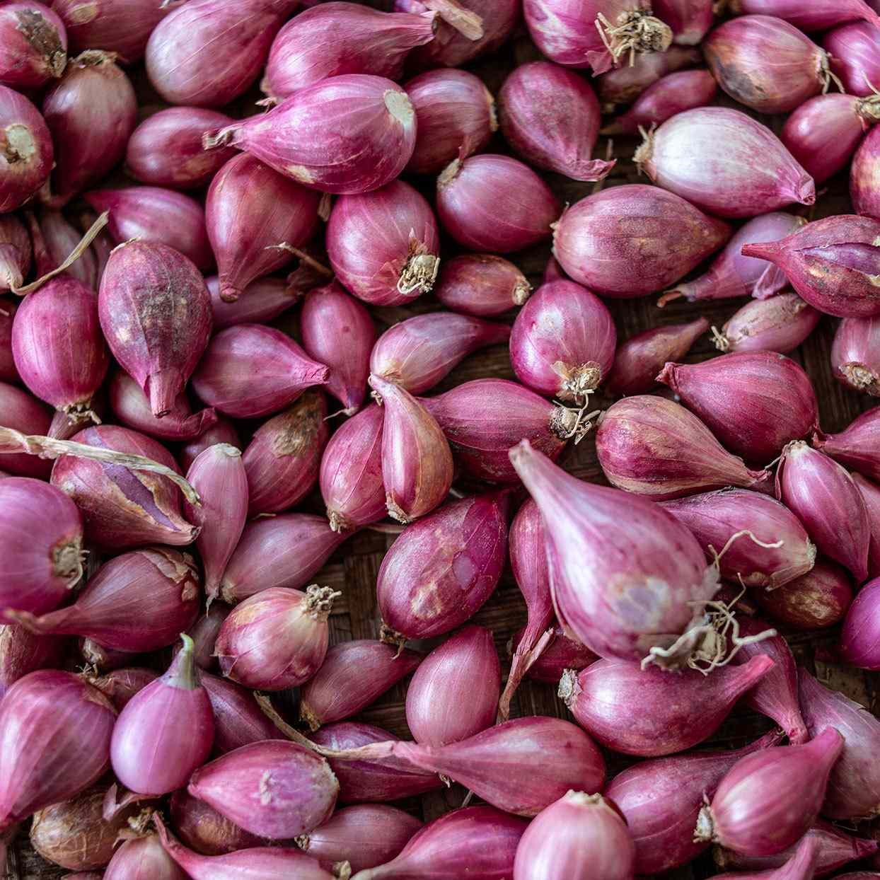 Onion