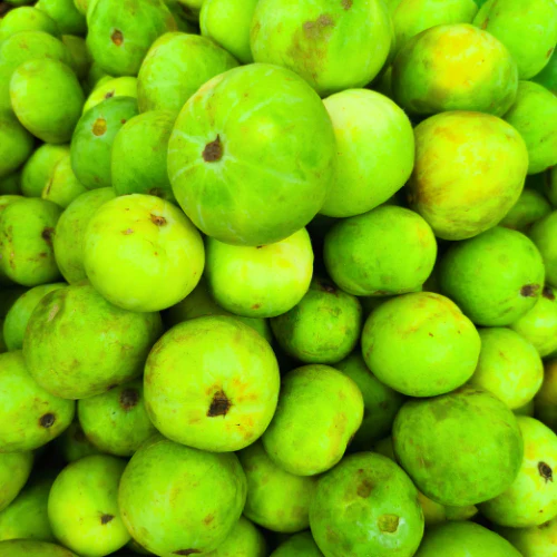 Tinda